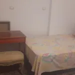 مزرعة الدكتور محمد رجب